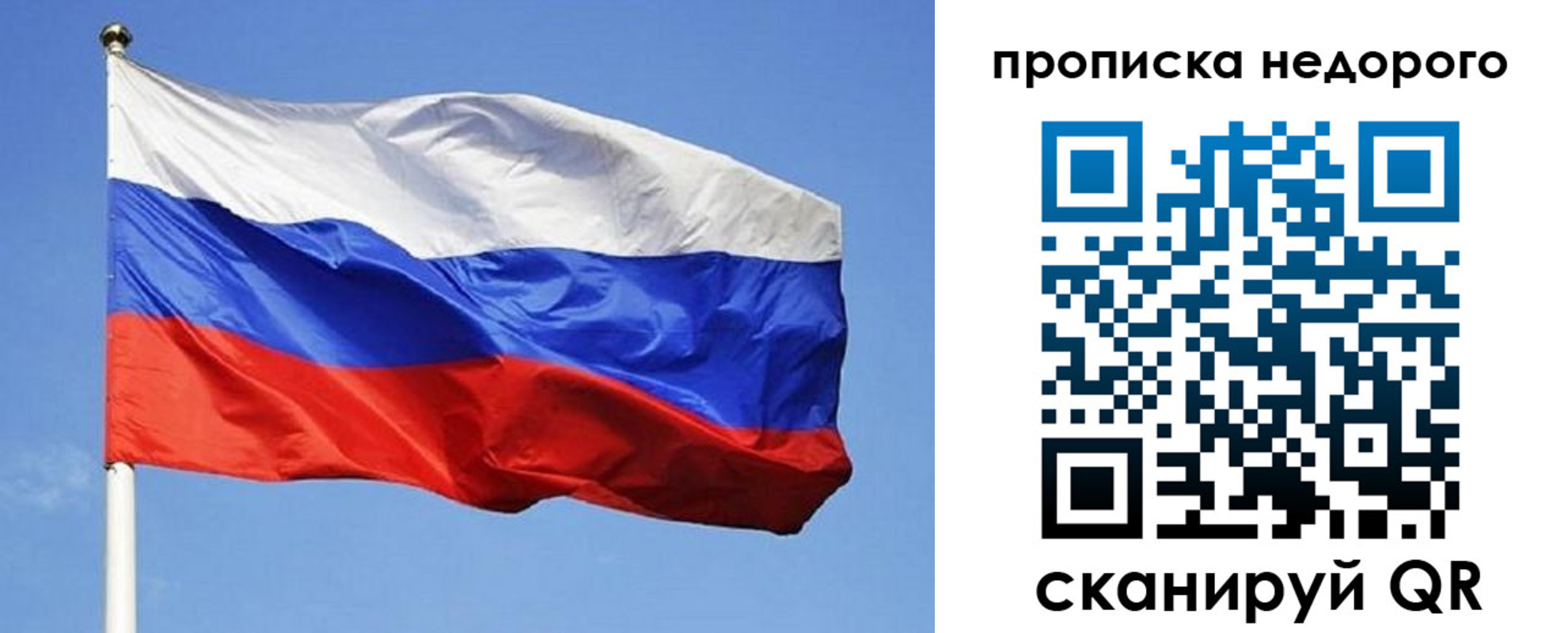 прописка для школы в Гатчине