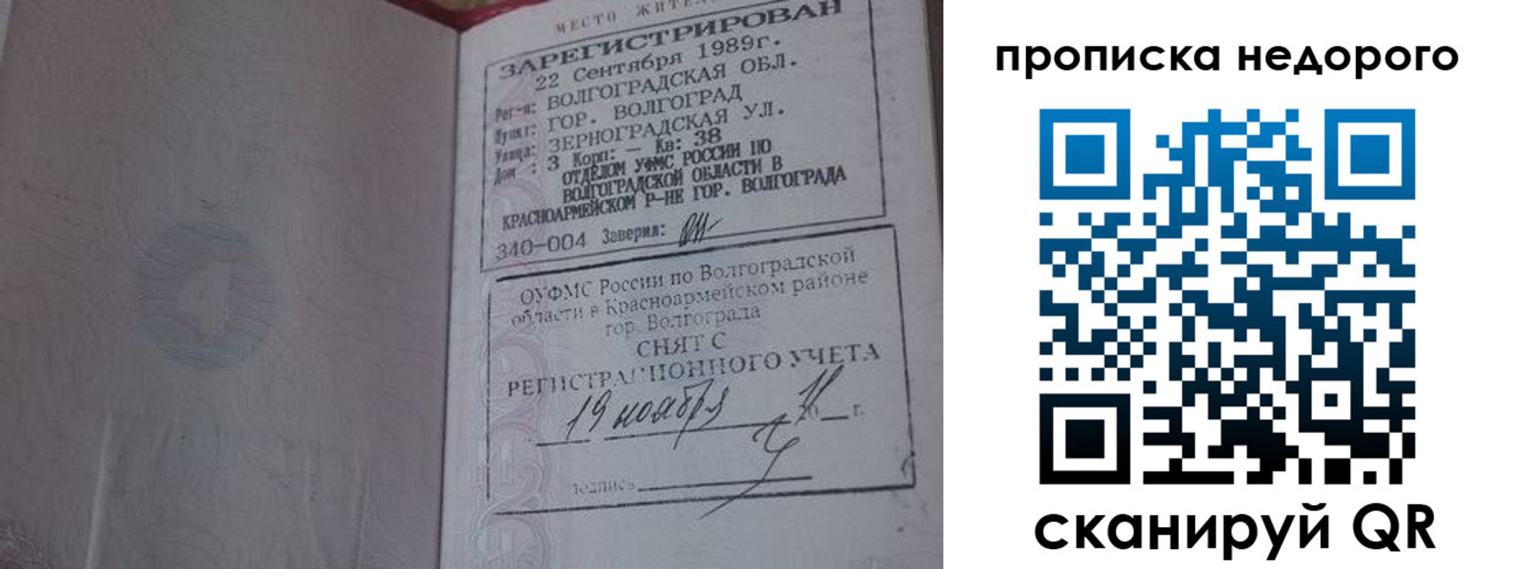 прописка гарантия в Гатчине